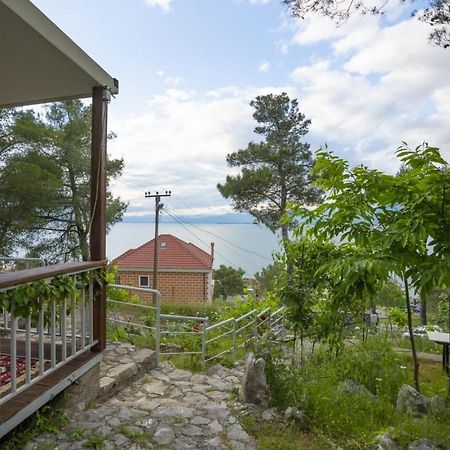 Among The Trees Villa Shiroka Bagian luar foto
