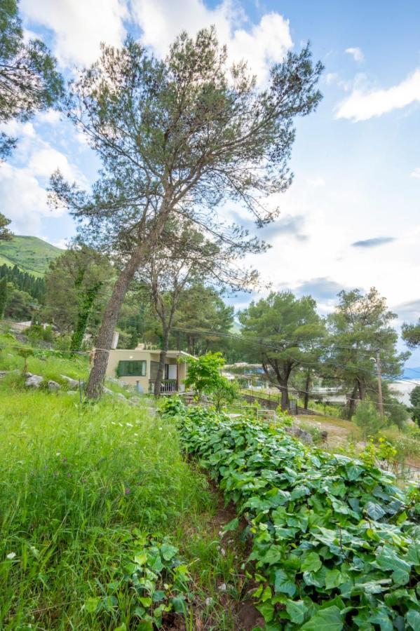 Among The Trees Villa Shiroka Bagian luar foto