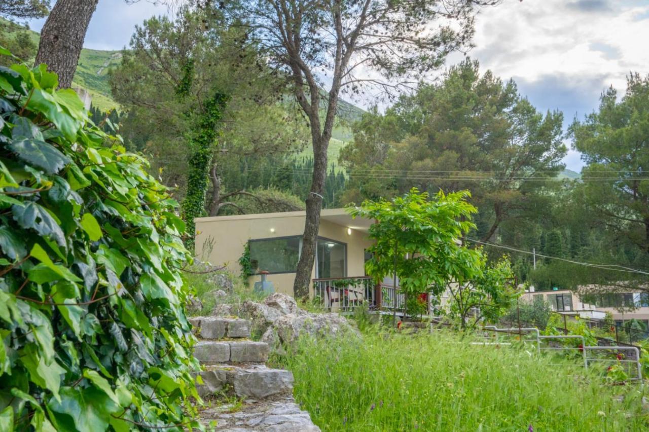 Among The Trees Villa Shiroka Bagian luar foto